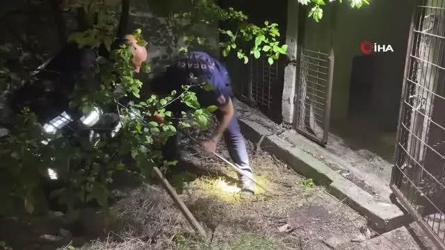 Son dakika haberi: 2 metre çukur kazarak 3 saatte kediyi kurtardılar