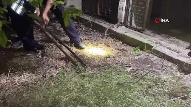 Son dakika haberi: 2 metre çukur kazarak 3 saatte kediyi kurtardılar