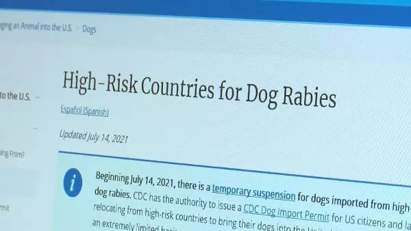 ABD'DEN TÜRKİYE'YE KÖPEKLERDE YÜKSEK KUDUZ RİSKİ KISITLAMASI