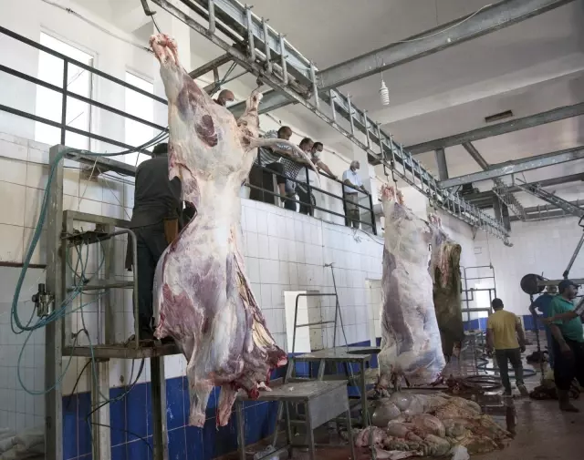 Ahlat Derneklerinden 900 aileye kurban eti