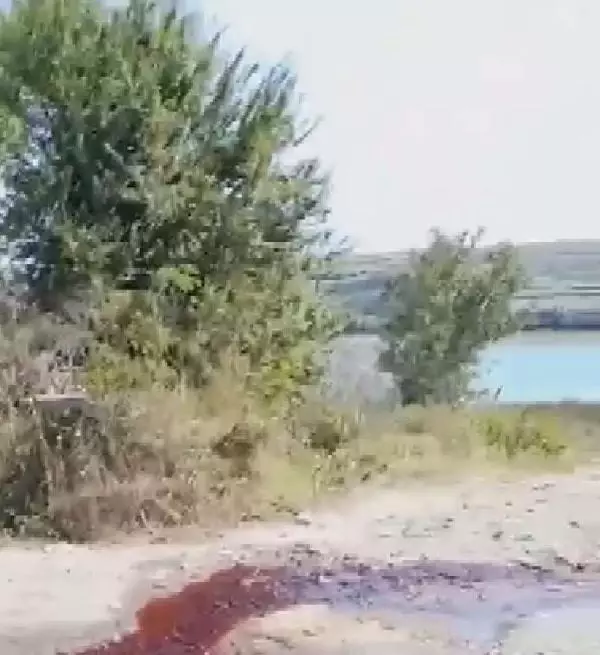 ARNAVUTKÖY'DE KESİLEN KURBANLARIN KANI SAZLIDERE BARAJI'NA AKTI ARNAVUTKÖY'DE KESİLEN KURBANLARIN KANI SAZLIDERE BARAJI'NA AKTI
