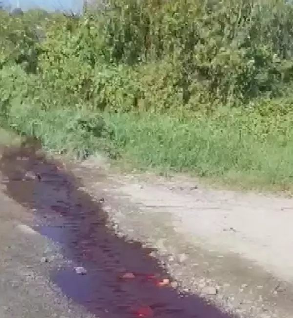 ARNAVUTKÖY'DE KESİLEN KURBANLARIN KANI SAZLIDERE BARAJI'NA AKTI