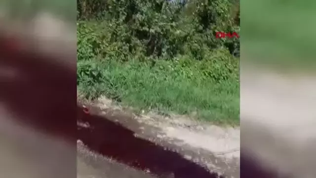 ARNAVUTKÖY'DE KESİLEN KURBANLARIN KANI SAZLIDERE BARAJI'NA AKTI