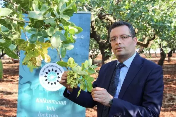 Son dakika haberi! Bakan Varank Antep fıstığı elektronik ortamda alınıp satılacak