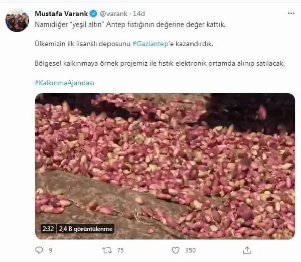 Son dakika haberi! Bakan Varank Antep fıstığı elektronik ortamda alınıp satılacak