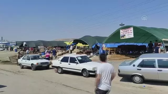 Başkentteki hayvan pazarlarında bayramın ikinci gününde de kurban satışları sürüyor