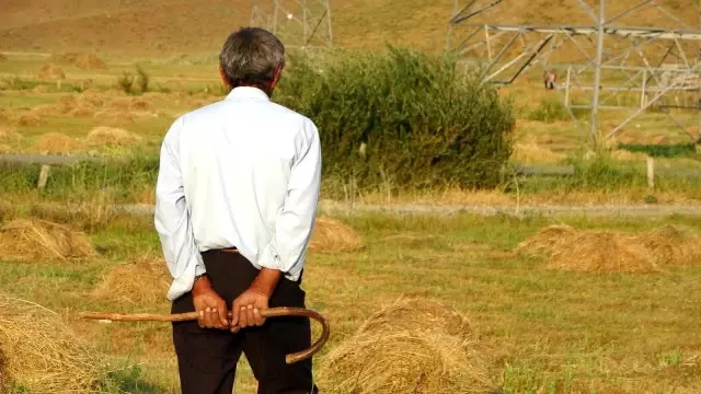 Bataklığa saplanan ineği hayatını değiştirdi