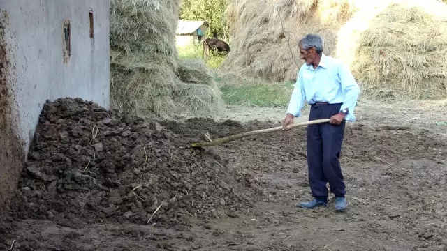 Bataklığa saplanan ineği hayatını değiştirdi