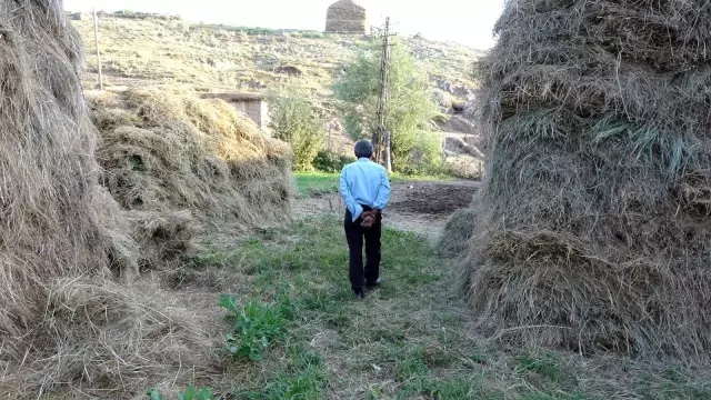 Bataklığa saplanan ineği hayatını değiştirdi