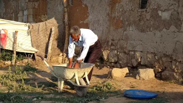 Bataklığa saplanan ineği hayatını değiştirdi