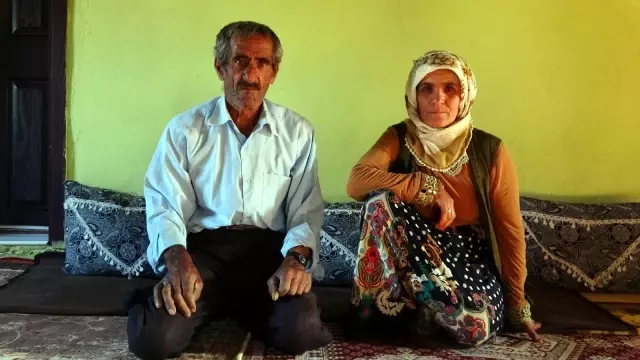 Bataklığa saplanan ineği hayatını değiştirdi