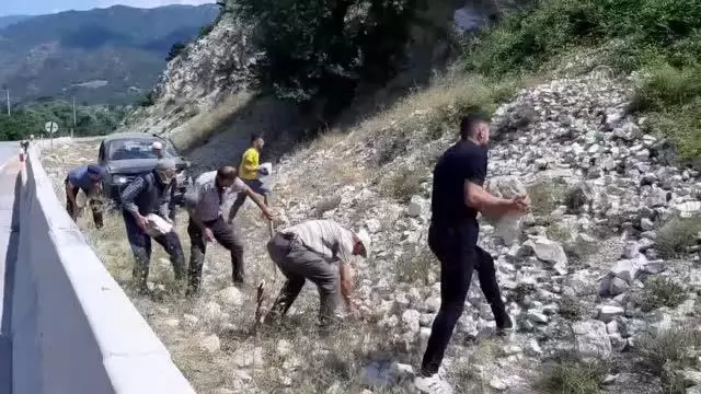Beton bariyerlere çarpan pikap devrildi: 3 yaralı