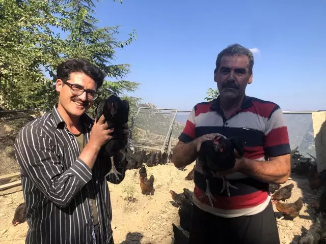 Binlerce tavuk gençlerin geleceği oldu