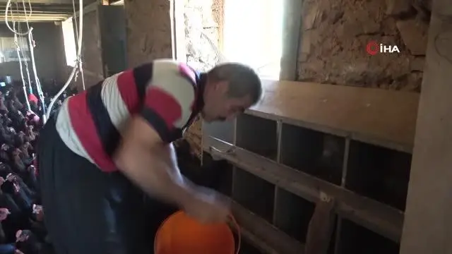 Binlerce tavuk gençlerin geleceği oldu