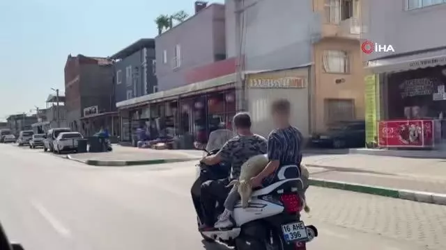 Bursa'da sıradışı hayvan taşıma tekniği kameralara böyle yansıdı