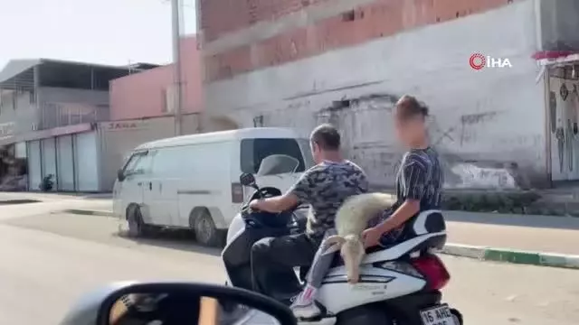Bursa'da sıradışı hayvan taşıma tekniği kameralara böyle yansıdı