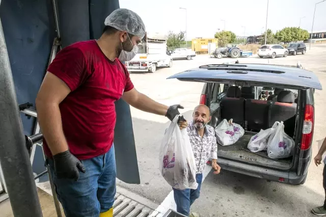 Büyükşehir Belediyesi mezbahanelerinde ilk gün 4 bin 279 kurban kesildi
