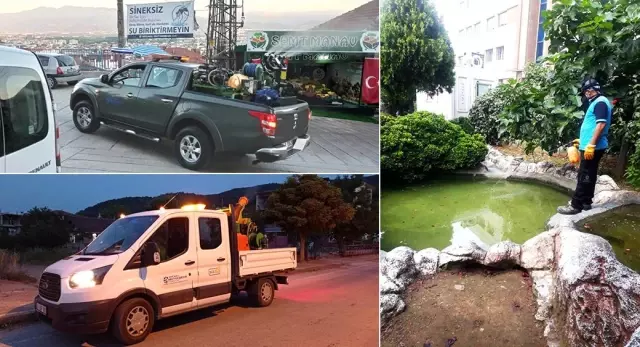 Büyükşehir'den sivrisinekle kapsamlı mücadele Büyükşehir'den sivrisinekle kapsamlı mücadele