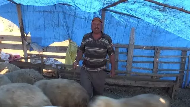 Canlı hayvan pazarlarında bayramın ikinci günü de hareketlilik yaşandı