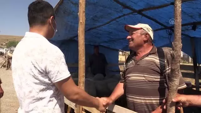 Canlı hayvan pazarlarında bayramın ikinci günü de hareketlilik yaşandı