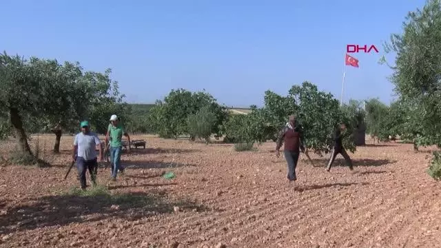ELDE TÜFEK, ANTEP FISTIĞI NÖBETİ ELDE TÜFEK, ANTEP FISTIĞI NÖBETİ