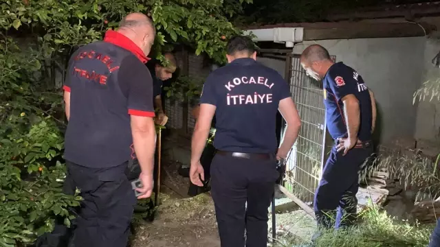Son dakika haberi: 2 metre çukur kazarak 3 saatte kediyi kurtardılar