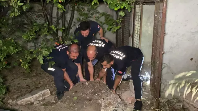 Son dakika haberi: 2 metre çukur kazarak 3 saatte kediyi kurtardılar