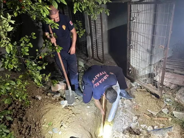 Son dakika haberi: 2 metre çukur kazarak 3 saatte kediyi kurtardılar