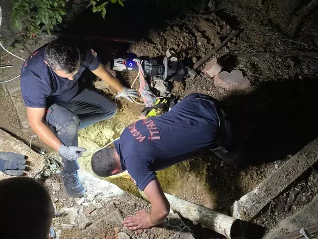Son dakika haberi: 2 metre çukur kazarak 3 saatte kediyi kurtardılar