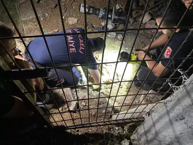 Son dakika haberi: 2 metre çukur kazarak 3 saatte kediyi kurtardılar