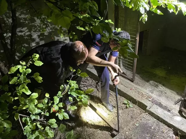 Son dakika haberi: 2 metre çukur kazarak 3 saatte kediyi kurtardılar