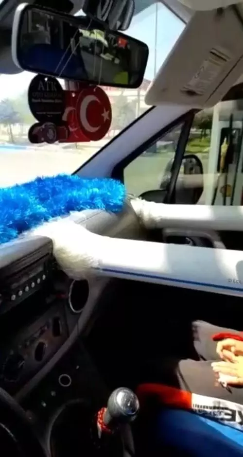 Türk işi kurban eti soğutma