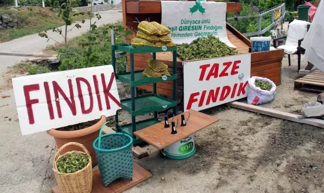 Fındık yola indi