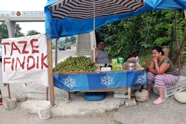 Fındık yola indi
