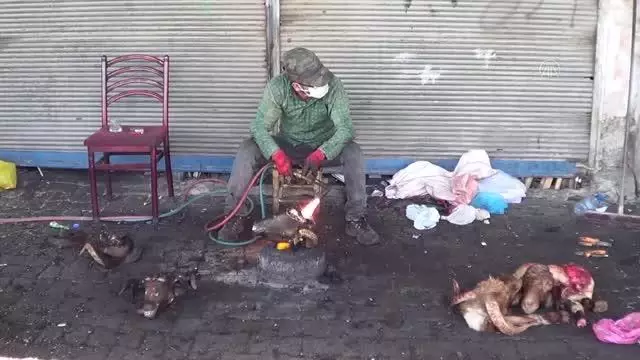 GAZİANTEP - Kelle ütücülüğünde yoğun mesai GAZİANTEP - Kelle ütücülüğünde yoğun mesai