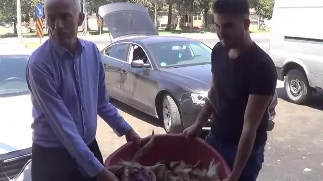 GAZİANTEP - Kelle ütücülüğünde yoğun mesai