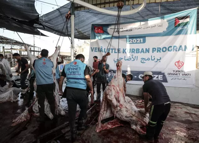 Gazze'de Türkiye Diyanet Vakfının desteğiyle kesilen kurbanların etleri yoksul ailelere dağıtılacak