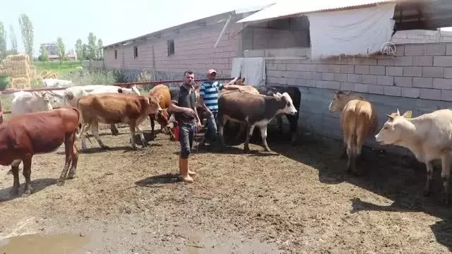 Görevli imamlar 1200 dar gelirli aileye kurban eti ulaştırıyor Görevli imamlar 1200 dar gelirli aileye kurban eti ulaştırıyor