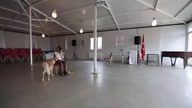 Görme engelli öğretmen, rehber köpeği 'Angel' ile artık daha özgürce dolaşabiliyor (2)
