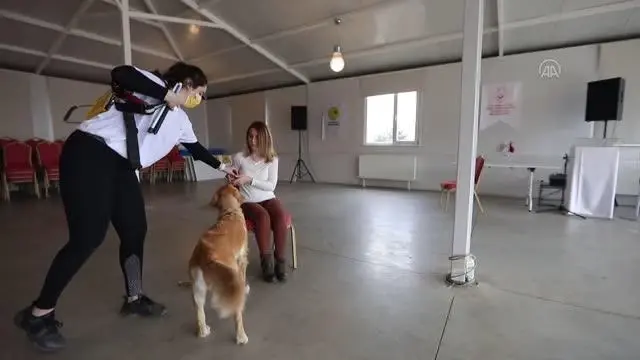 Görme engelli öğretmen, rehber köpeği 'Angel' ile artık daha özgürce dolaşabiliyor (2)