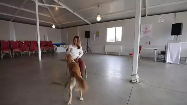 Görme engelli öğretmen, rehber köpeği 'Angel' ile artık daha özgürce dolaşabiliyor (2)