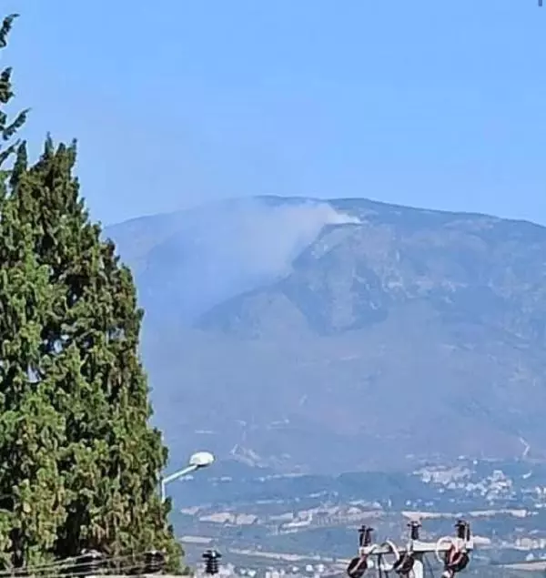 Son dakika! HATAY'DA ORMAN YANGINI