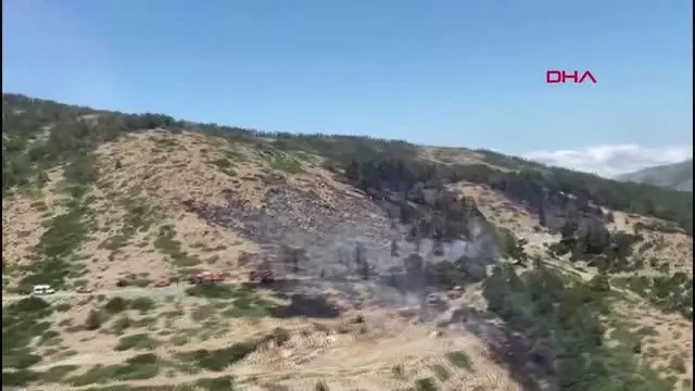 Son dakika! HATAY'DA ORMAN YANGINI Son dakika! HATAY'DA ORMAN YANGINI