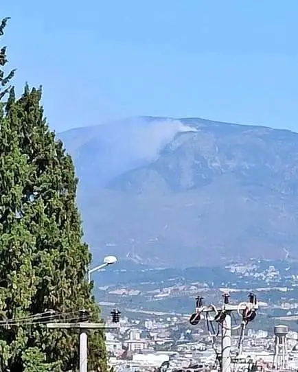 Hatay'da orman yangını
