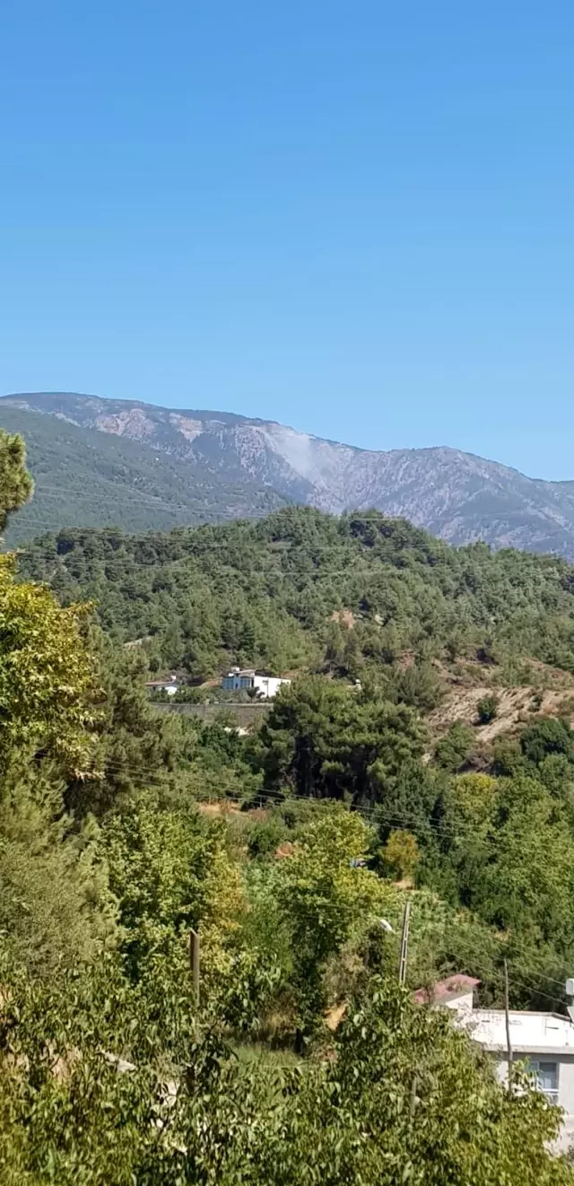 Hatay'da orman yangını