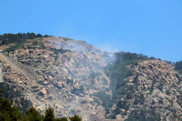 Hatay'da orman yangını