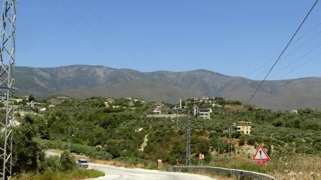 Son dakika... Kisecik yangını kontrol altına alındı