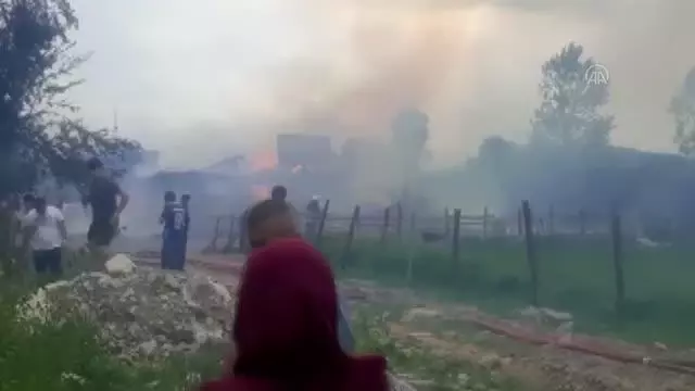Son dakika haberleri | Hayvan besi çiftliğinde yangın