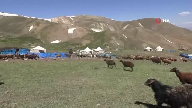 Iğdırlı 'Minik Zehra' tabletine kavuştu