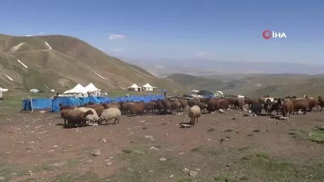 Iğdırlı 'Minik Zehra' tabletine kavuştu